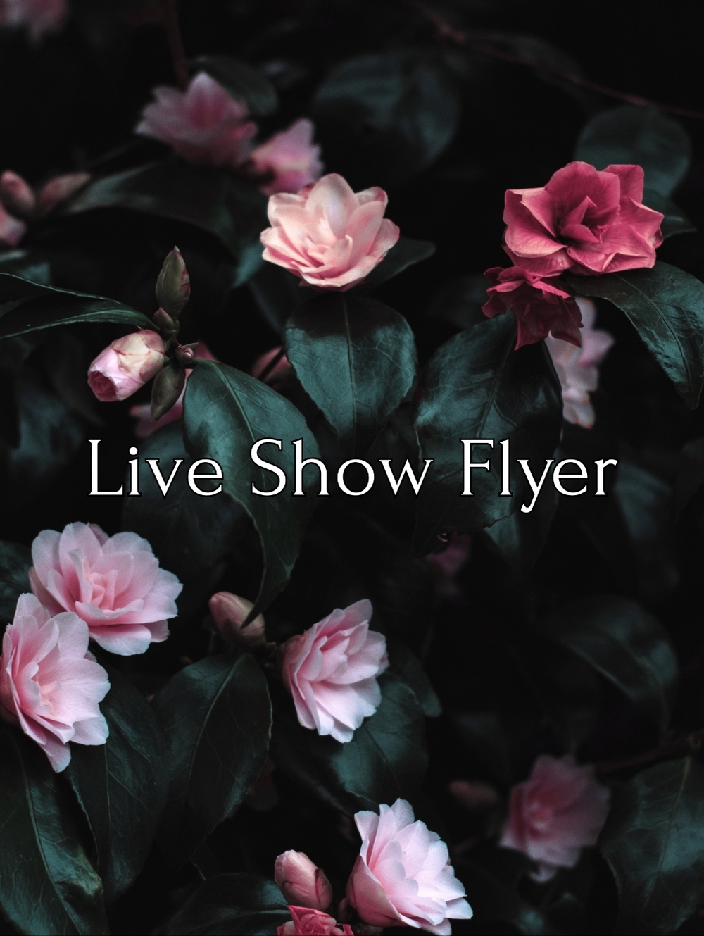Live Show Flyer- Like To Be Notifed When Im Live <3